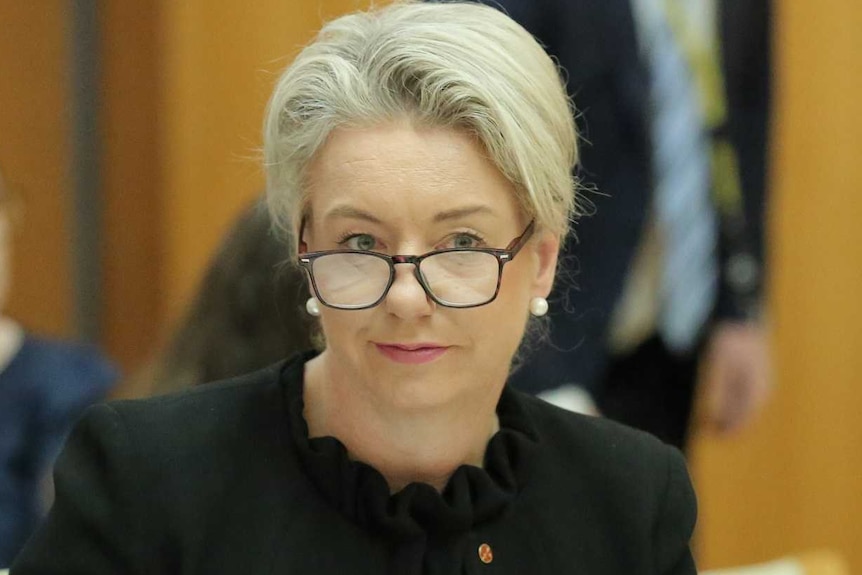 Bridget McKenzie, wearing glasses, sits at a table in a wood-panelled room with a folder open in front of her