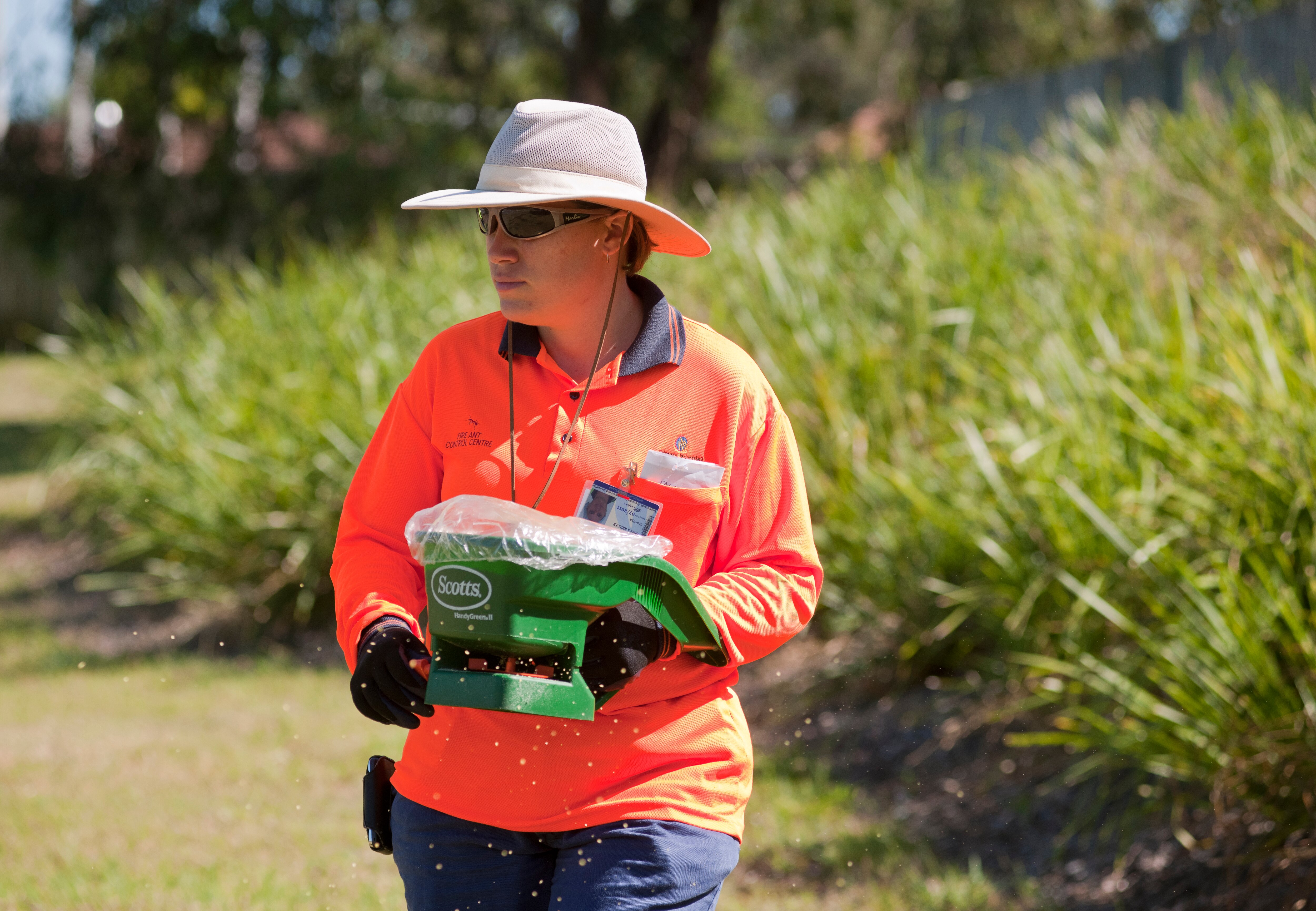 woman in high-vis with a fire ant bait spreader