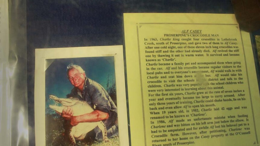 The late Alf Casey was known as Proserpine's 'crocodile man'.
