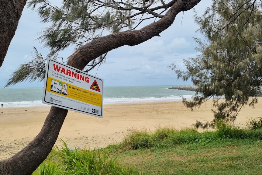 Signs warning beachgoers of a crocodile in the area.