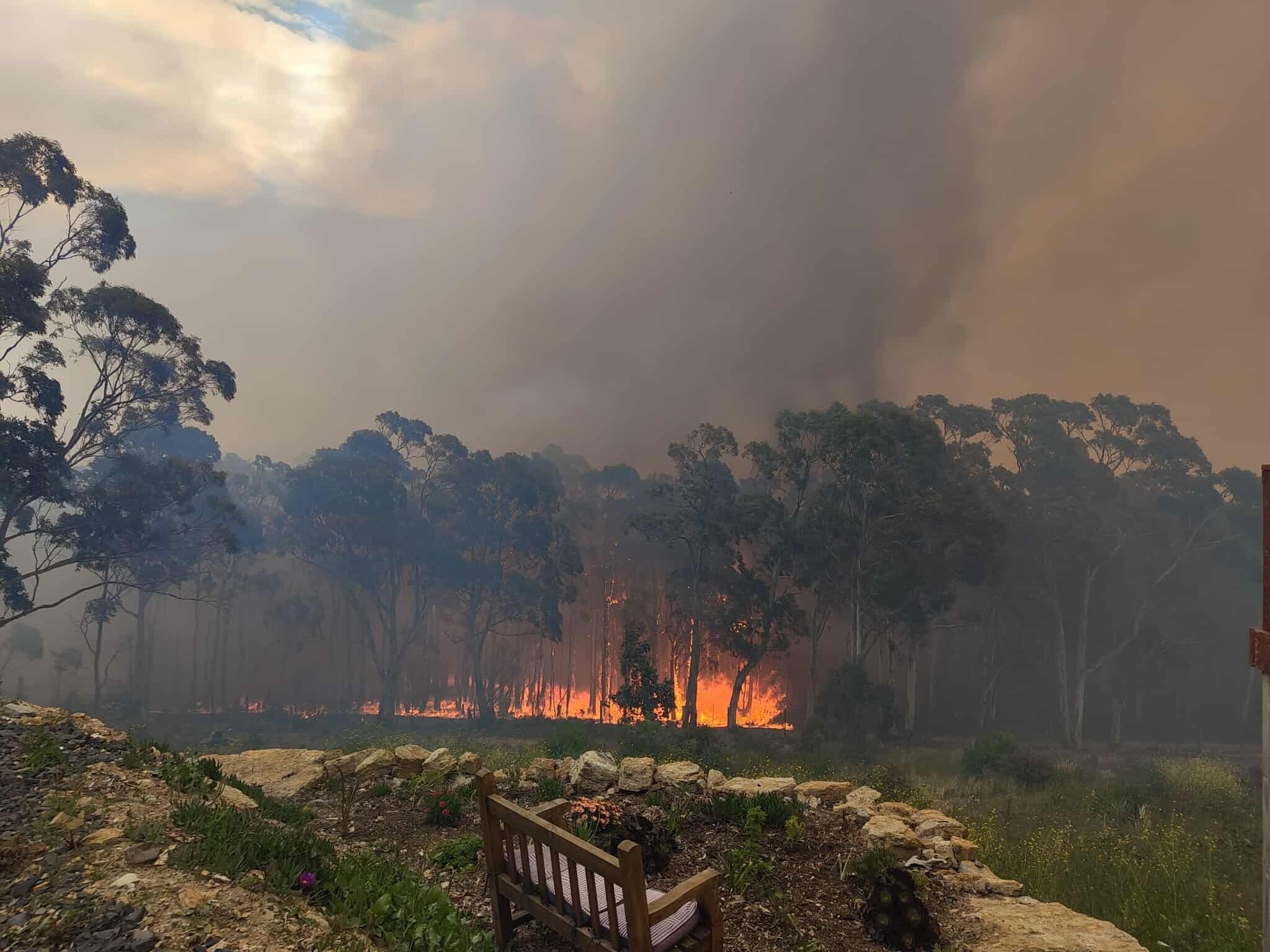 Un incendio forestal arde cerca de árboles grandes