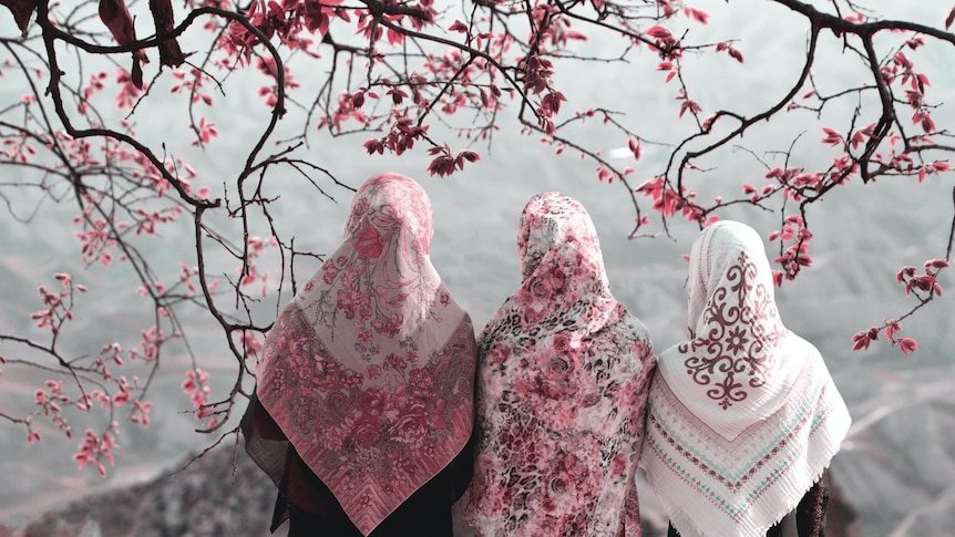 Three women with colourful hijab under a cherry blossom tree