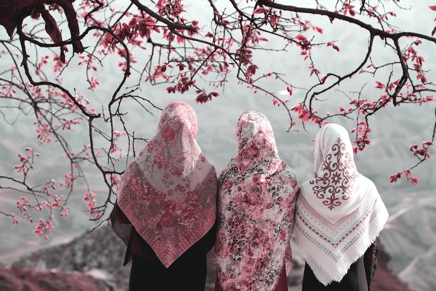 Three women with colourful hijab under a cherry blossom tree
