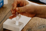 A hand squeezes a dropper above a test tube sitting