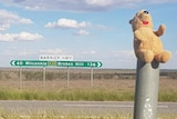 A winnie the pooh teddy bear sitting on a pole near between Wilcannia and Broken Hill