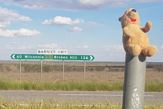 A winnie the pooh teddy bear sitting on a pole near between Wilcannia and Broken Hill