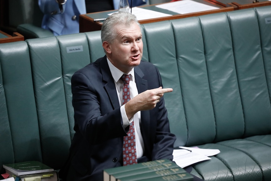 Tony Burke in the house of representatives pointing his finger and yelling