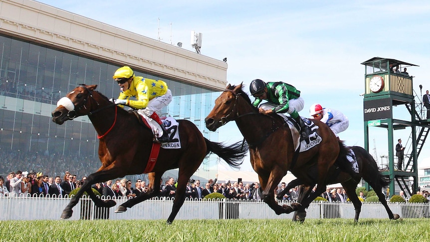 Craig Williams riding Dunaden (L) to beat Alcopop (R) in the Caulfield Cup on October 20, 2012.