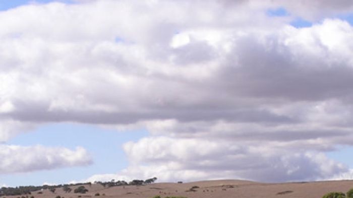 Farm during drought