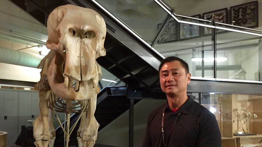 Professor Mike Lee stands next to a dinosaur skeleton