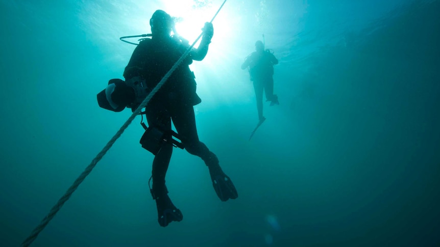 Divers descend into waters off the Victorian coast