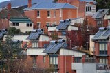 Solar panels on top of homes in Hobart.