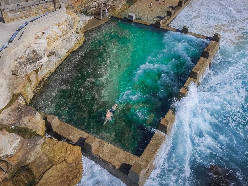 An aerial view of Kenton Webb doing laps in the Coogee ocean pool.