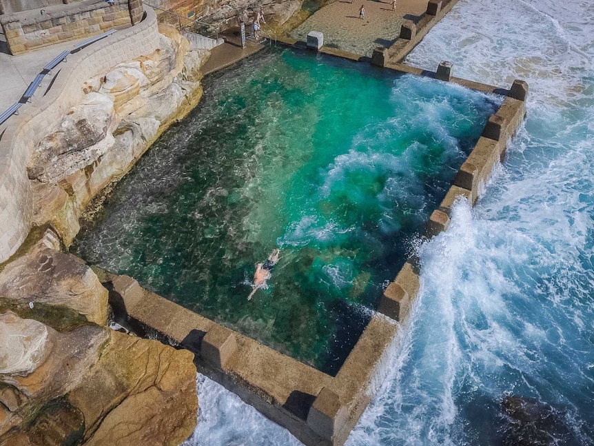 An aerial view of Kenton Webb doing laps in the Coogee ocean pool