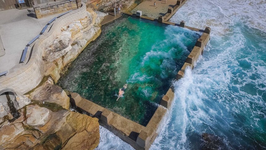 An aerial view of Kenton Webb doing laps in the Coogee ocean pool.