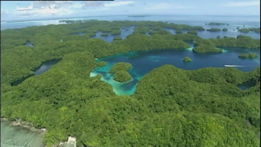 Palau president declares nation to become marine sanctuary