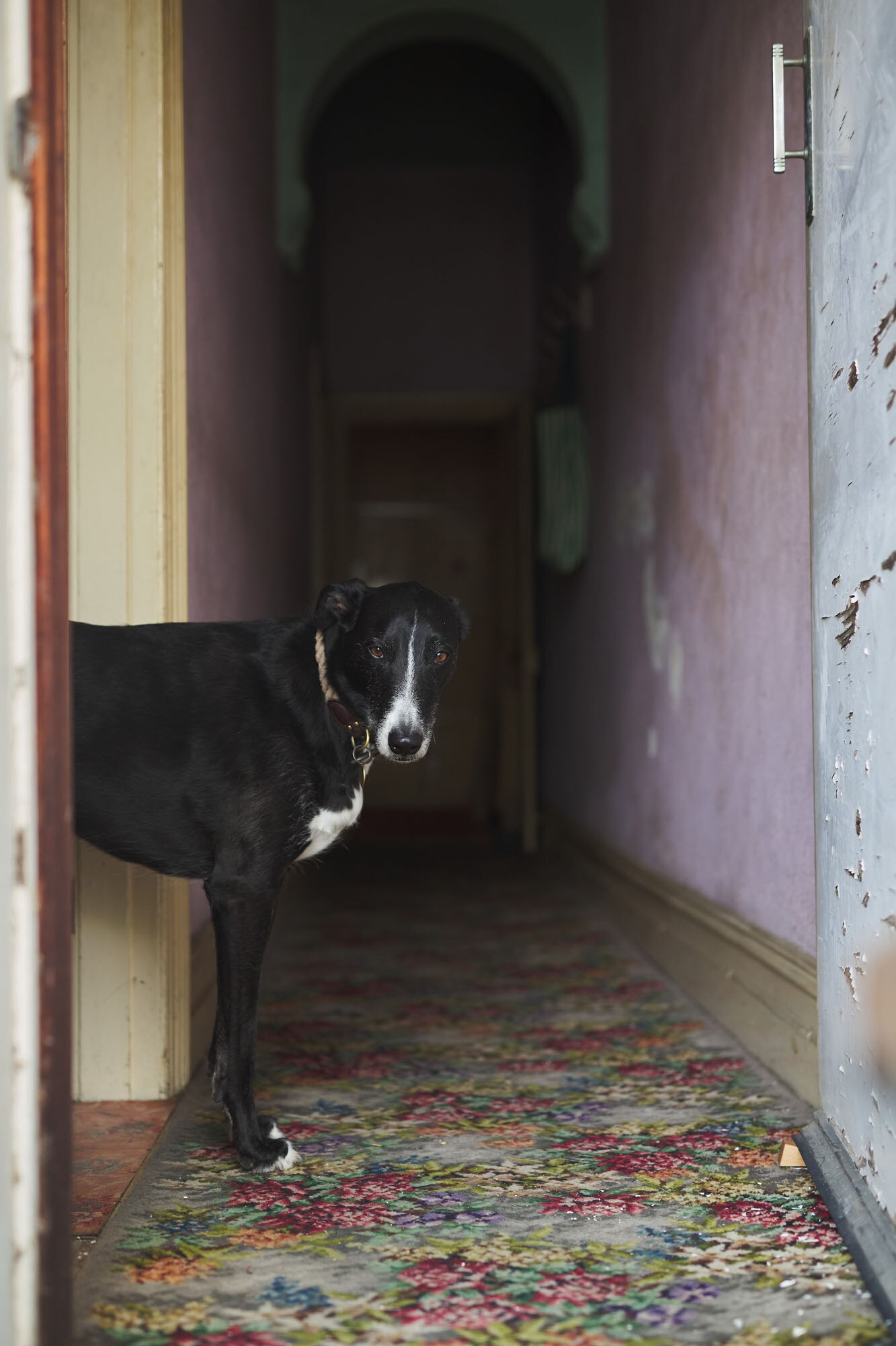 Wally at the door