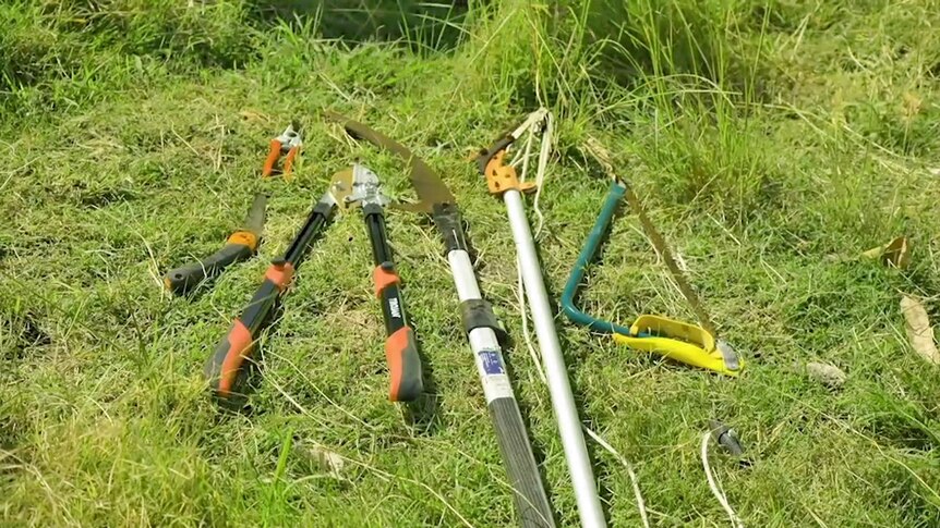 A selection of pruning tools on a lawn.