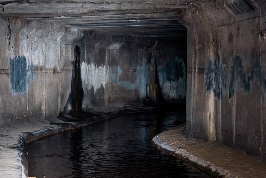 A partially lit section of an underground sewer, with sewage passing through its middle and dark splotches on parts of the walls