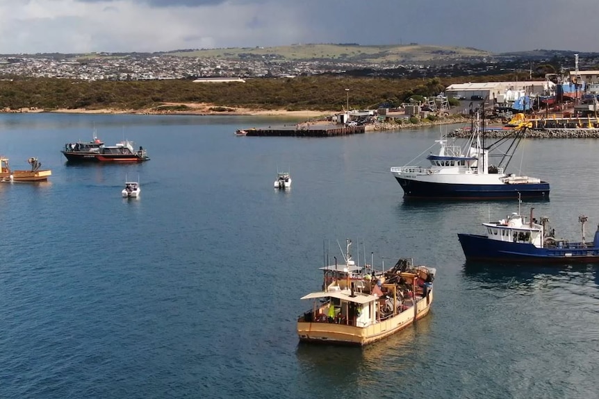 A fleet of boats sail close to a coast's edge.