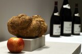 World's biggest truffle