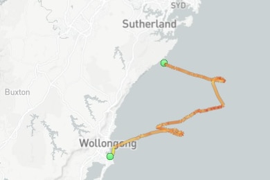 A map with a line on it showing a ship's path
