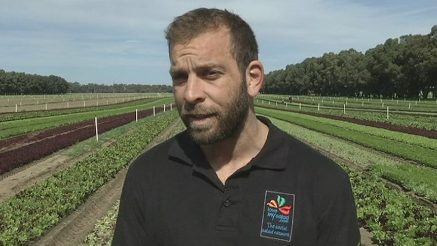 Damien Rigali lettuce grower