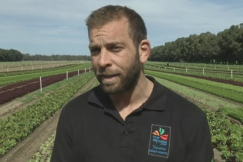Damien Rigali lettuce grower
