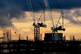 Construction cranes over Melbourne