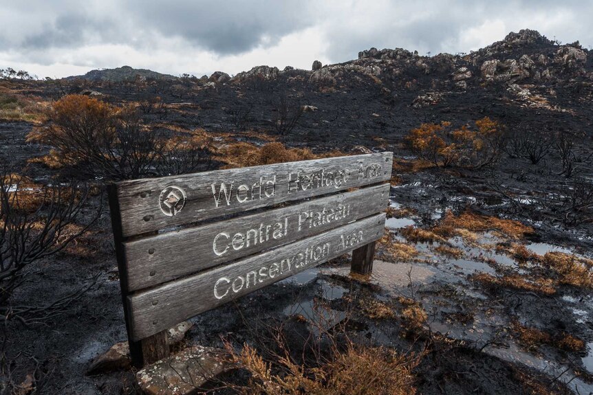 World Heritage sign in a burnt out area of the Central Plateau.