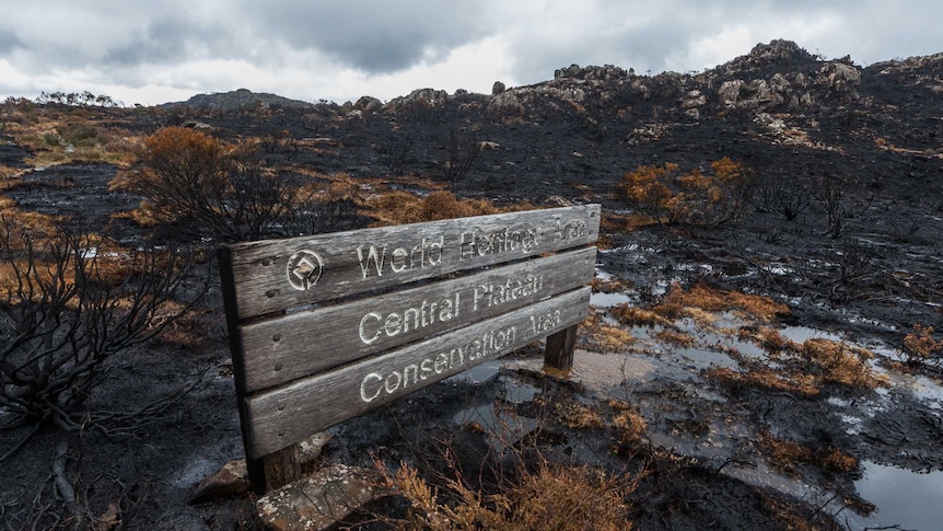 Fire affected Central Plateau World Heritage Area, Tasmania.