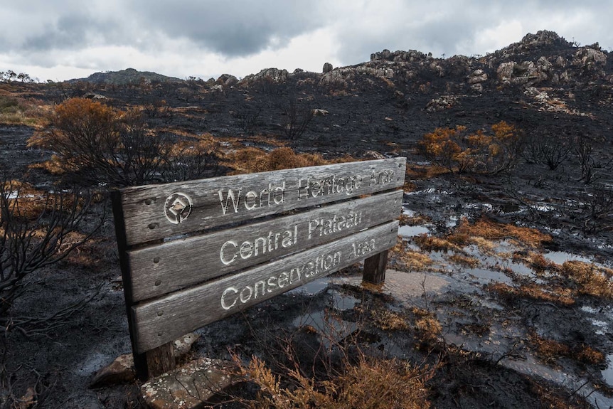 World Heritage sign in a burnt out area of the Central Plateau.