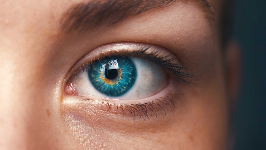 A close-up of an eye