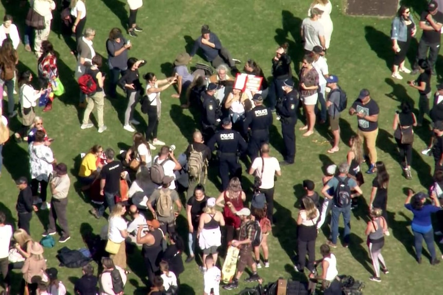 Crowd of people, with police in the middle, stand on grass