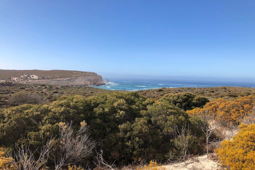 Photo of the edge of an island that drops off to a large blue ocean on a clear day.