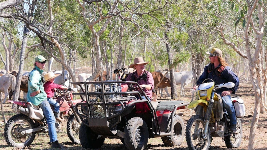 A group of people on motorbikes and a quad bike in the foreground with cattle in the background