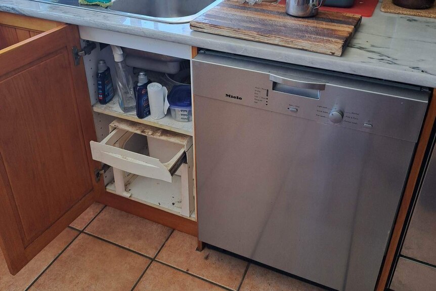 The kitchen cupboard where a tiger snake was found.