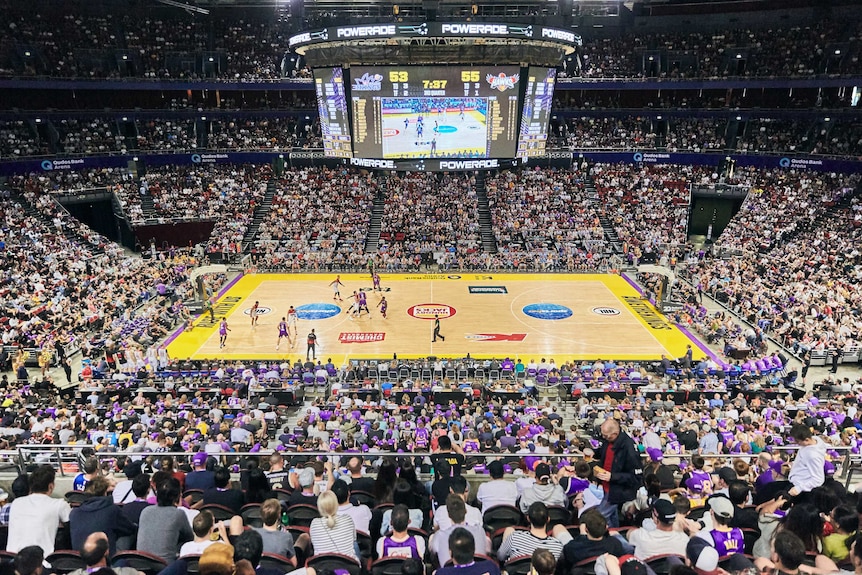 A packed crowd watches a basketball match.