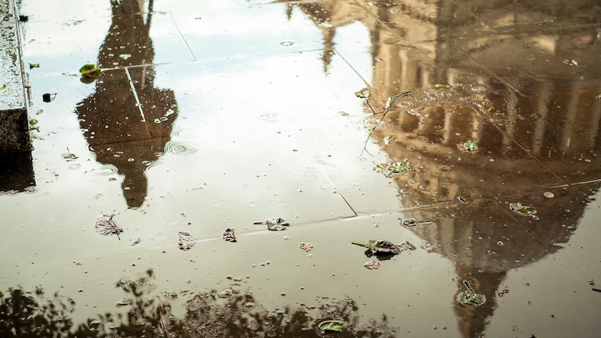 Reflection of St. Paul's cathedral, in London, in a puddle of water.