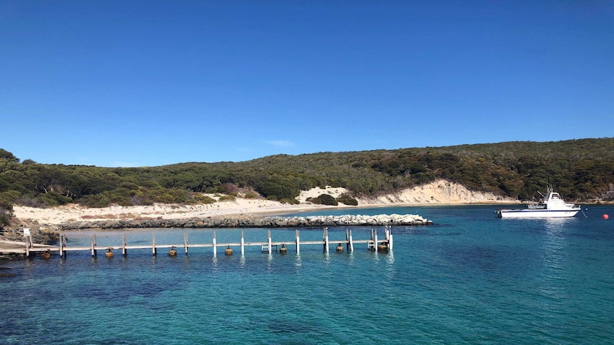 A picture of a bay on the south coast including a fishing boat and a jetty