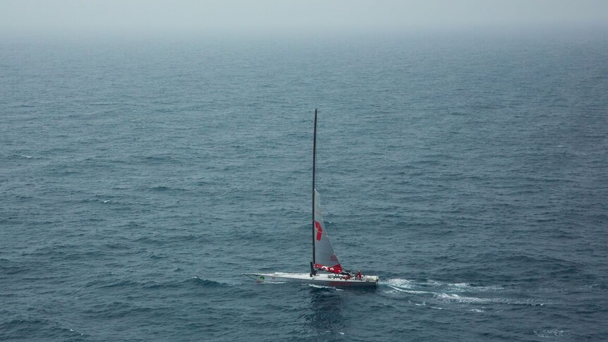 Wild Oats XI heading for the coast after being forced out of the 2016 Sydney to Hobart due to equipment failure.
