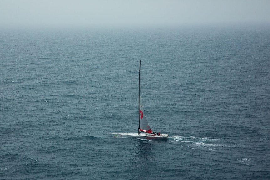 Wild Oats XI heading for the coast after being forced out of the 2016 Sydney to Hobart due to equipment failure.