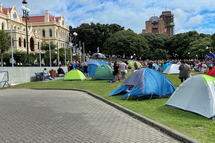 Tents set up by protesters at the lawns in front ofthe parliament building. 