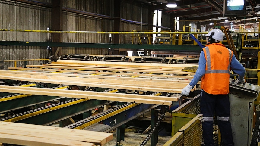 A timber worker inside a sawmill
