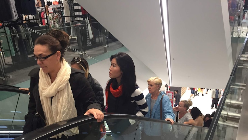 Shoppers on store escalator.