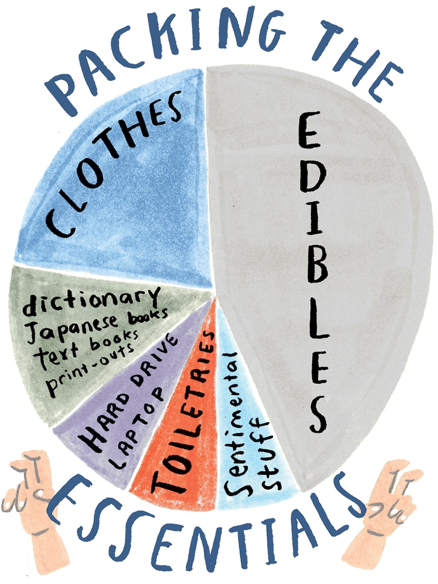 Illustration of pie graph of packing essentials, largest to smallest: edibles, clothes, books, tech, toiletries, sentimentals.