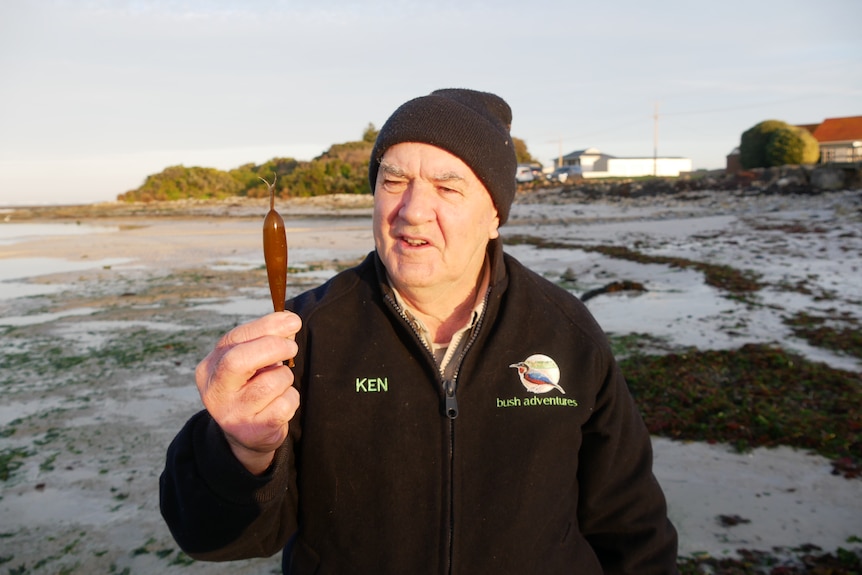 A man wearing a black jumper and a black beanie holding a piece of seaweed. 