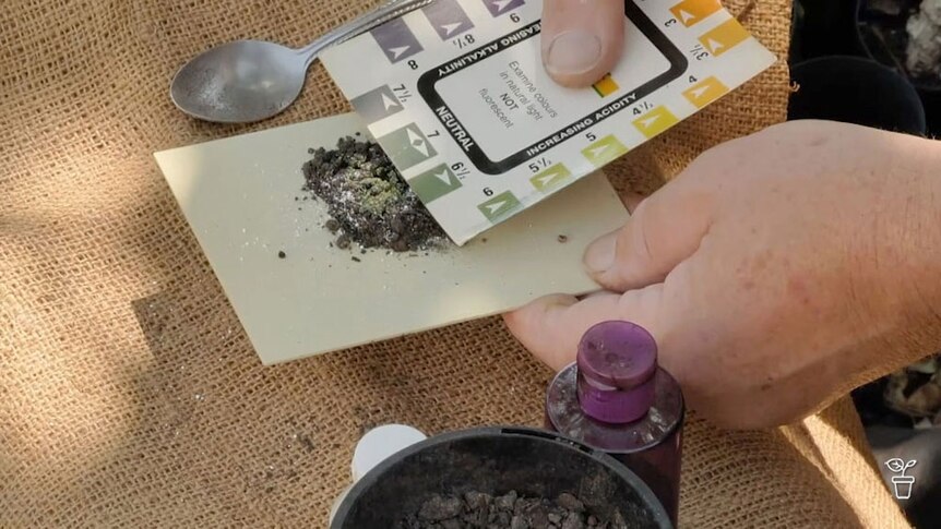 A soil ph card being held against a soil sample.