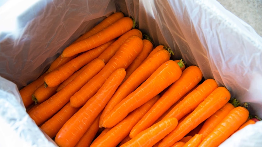 Carrots ready for export
