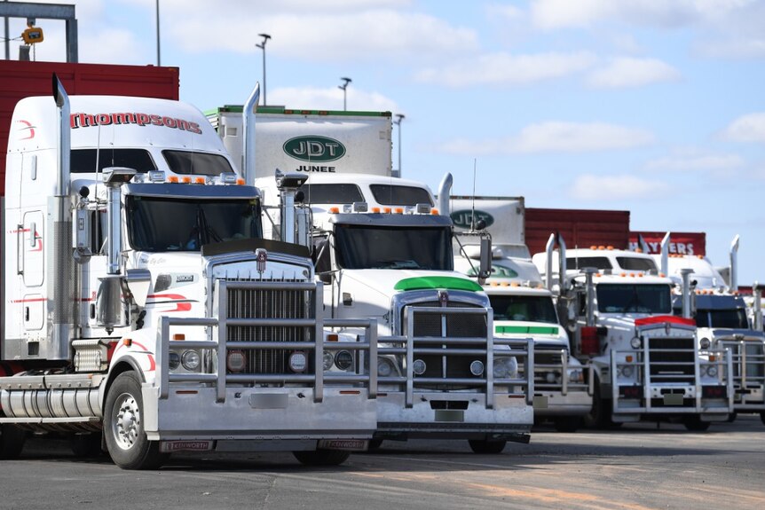 Five B-Double trucks lined up side-by-side.